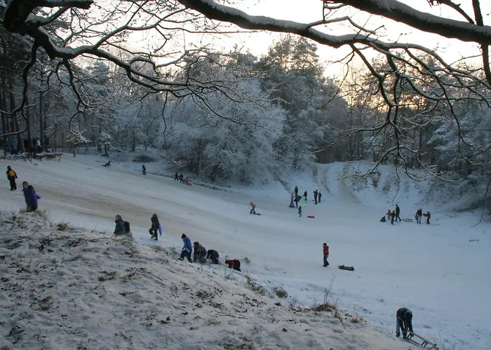 Molecaten Park De Leemkule