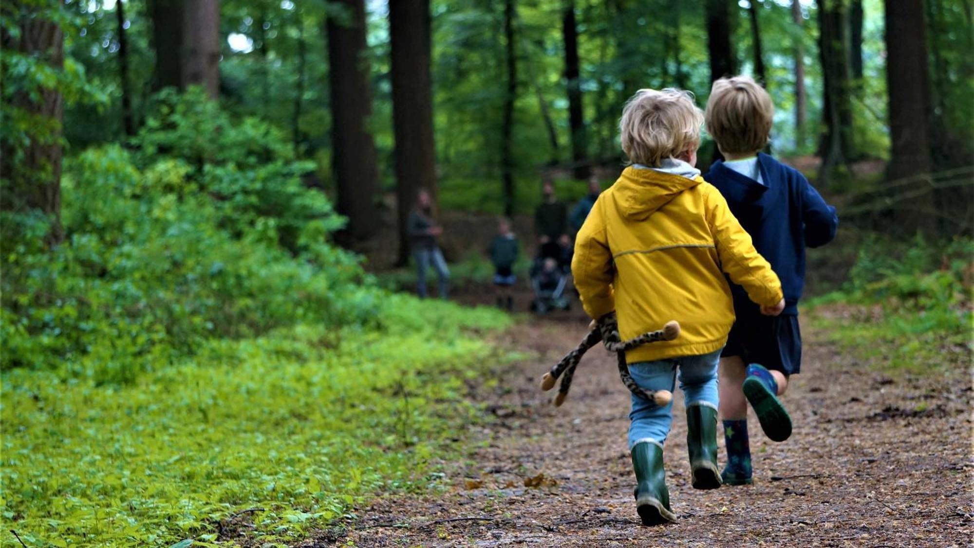 Molecaten Park De Leemkule 4* Hattem