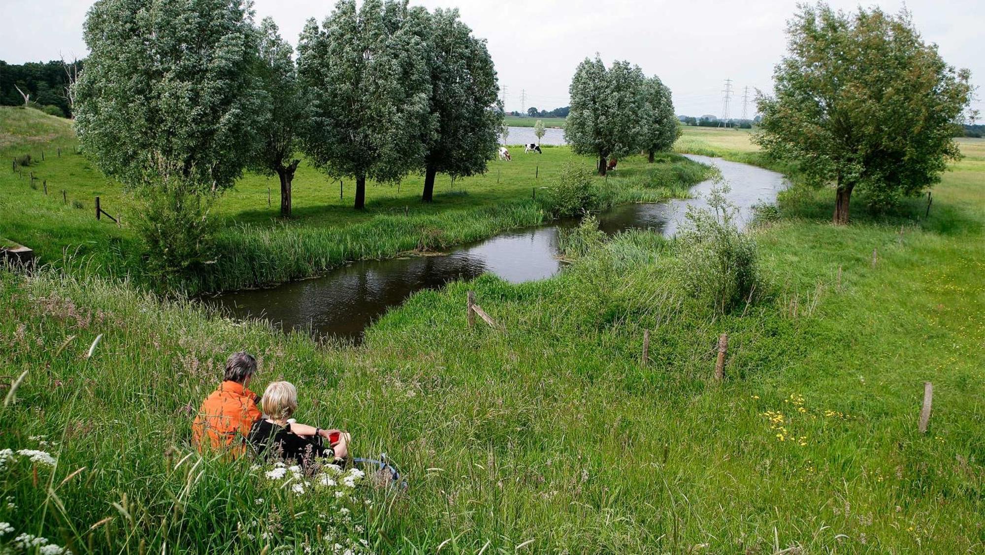 Molecaten Park De Leemkule 4*