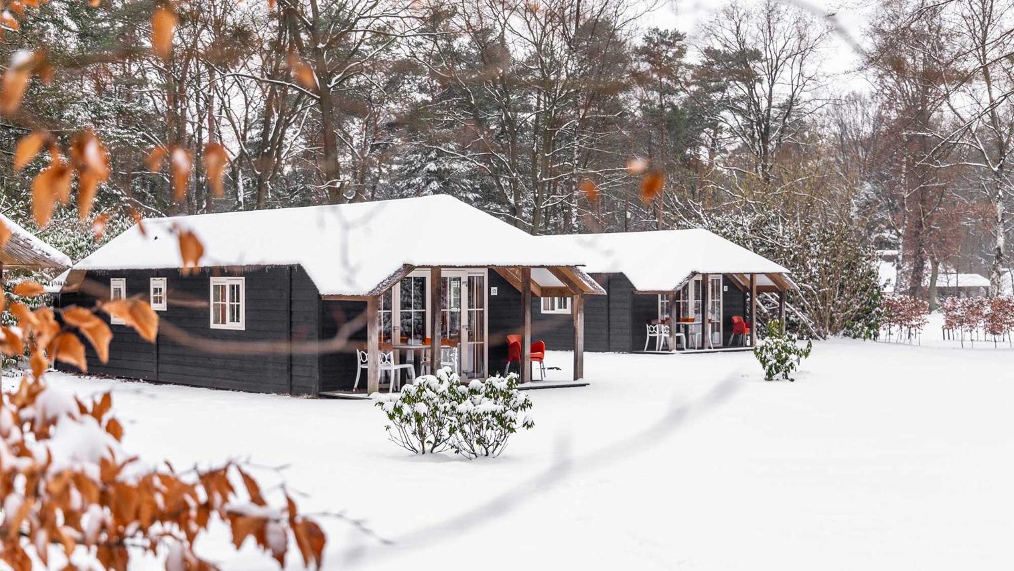 Molecaten Park De Leemkule 4*