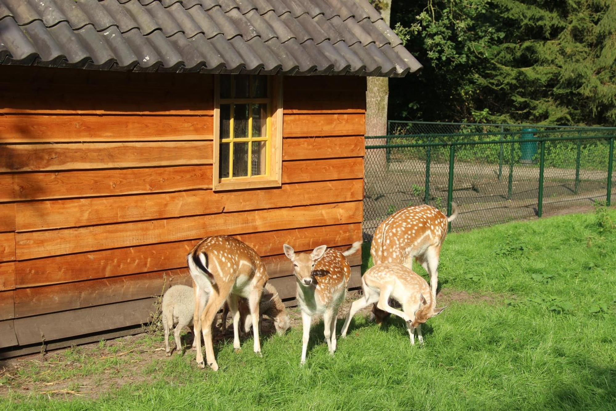 Molecaten Park De Leemkule Hattem