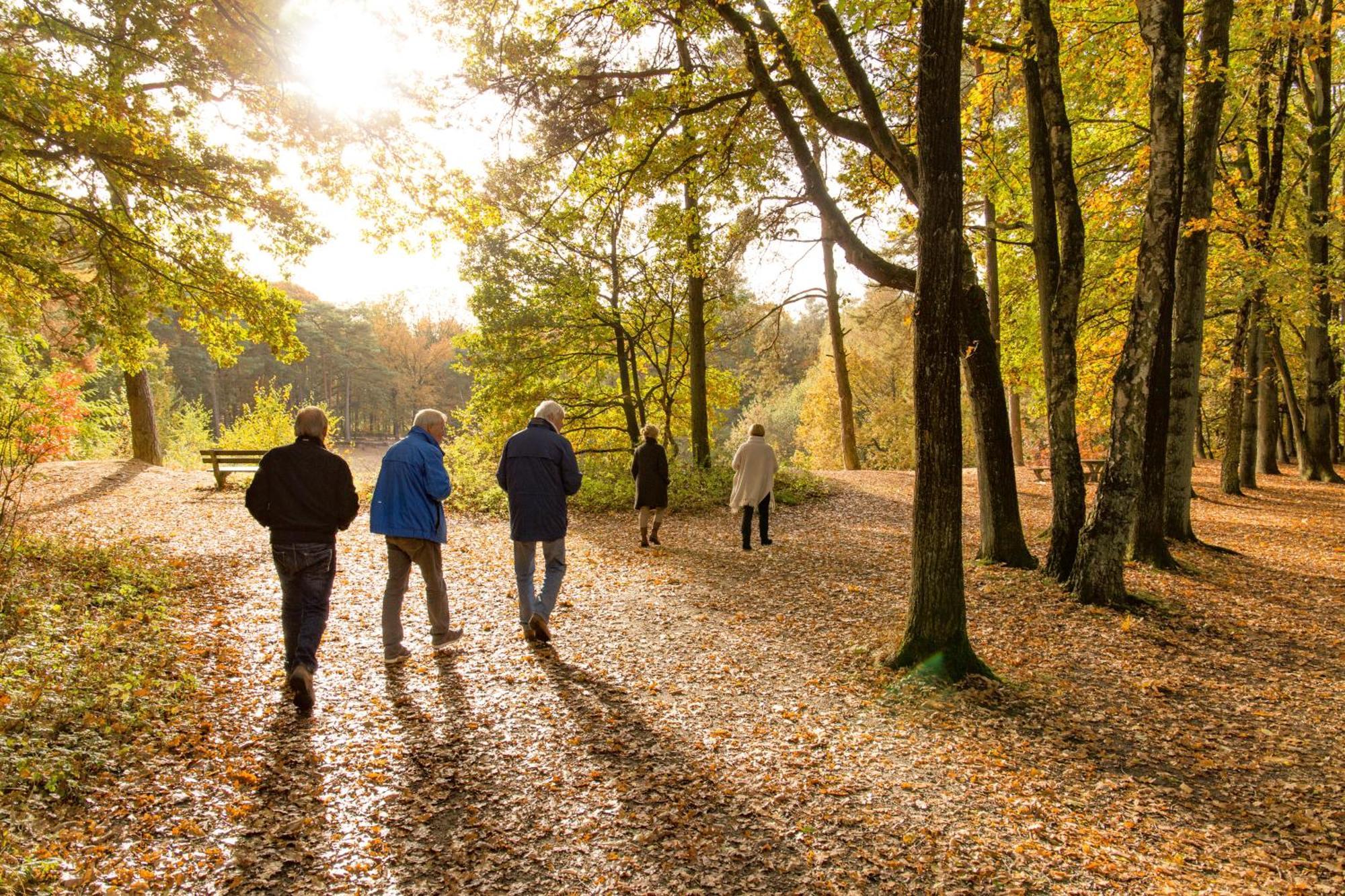 Molecaten Park De Leemkule Ferienpark