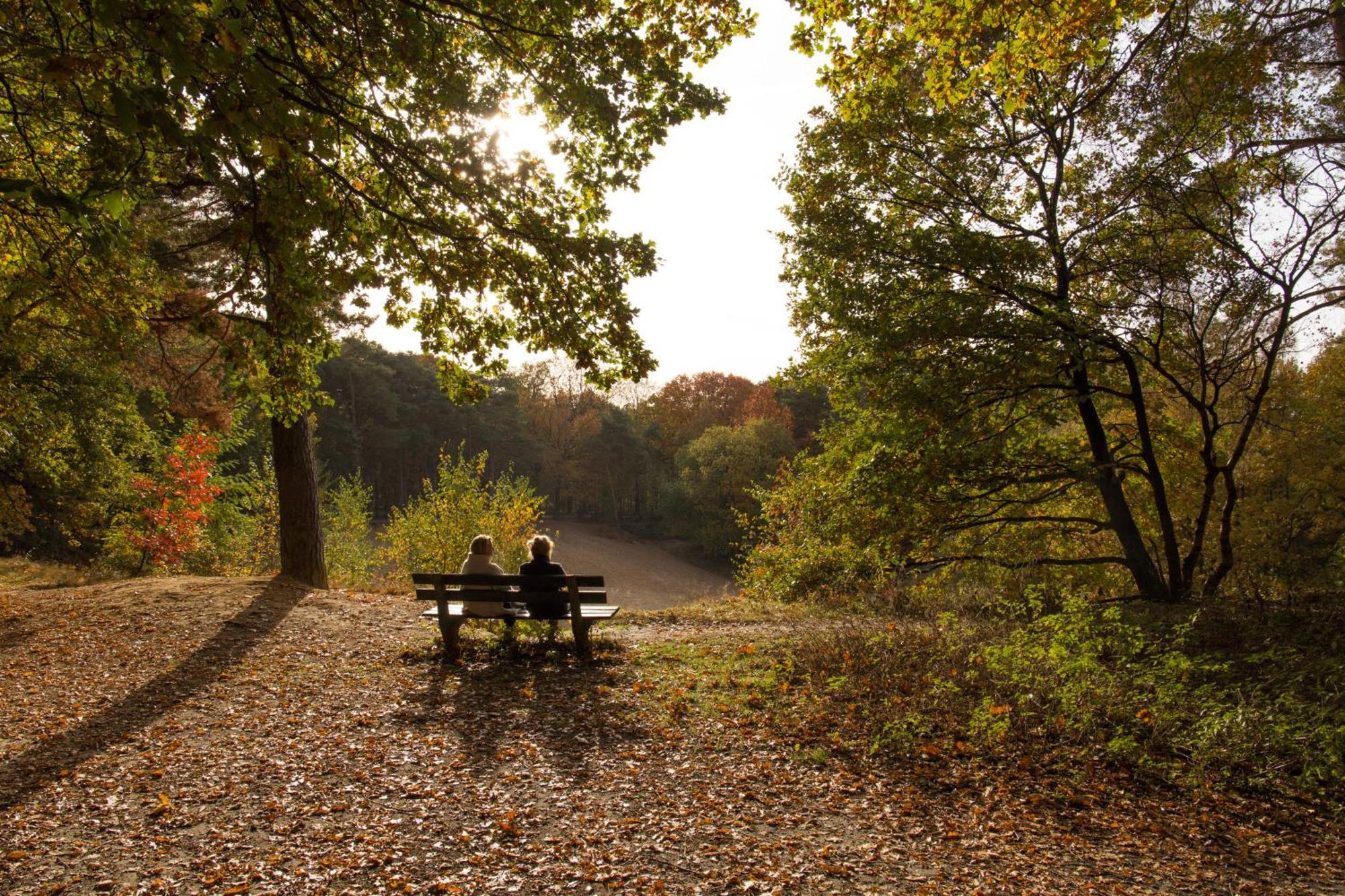 Ferienpark Molecaten Park De Leemkule 4*