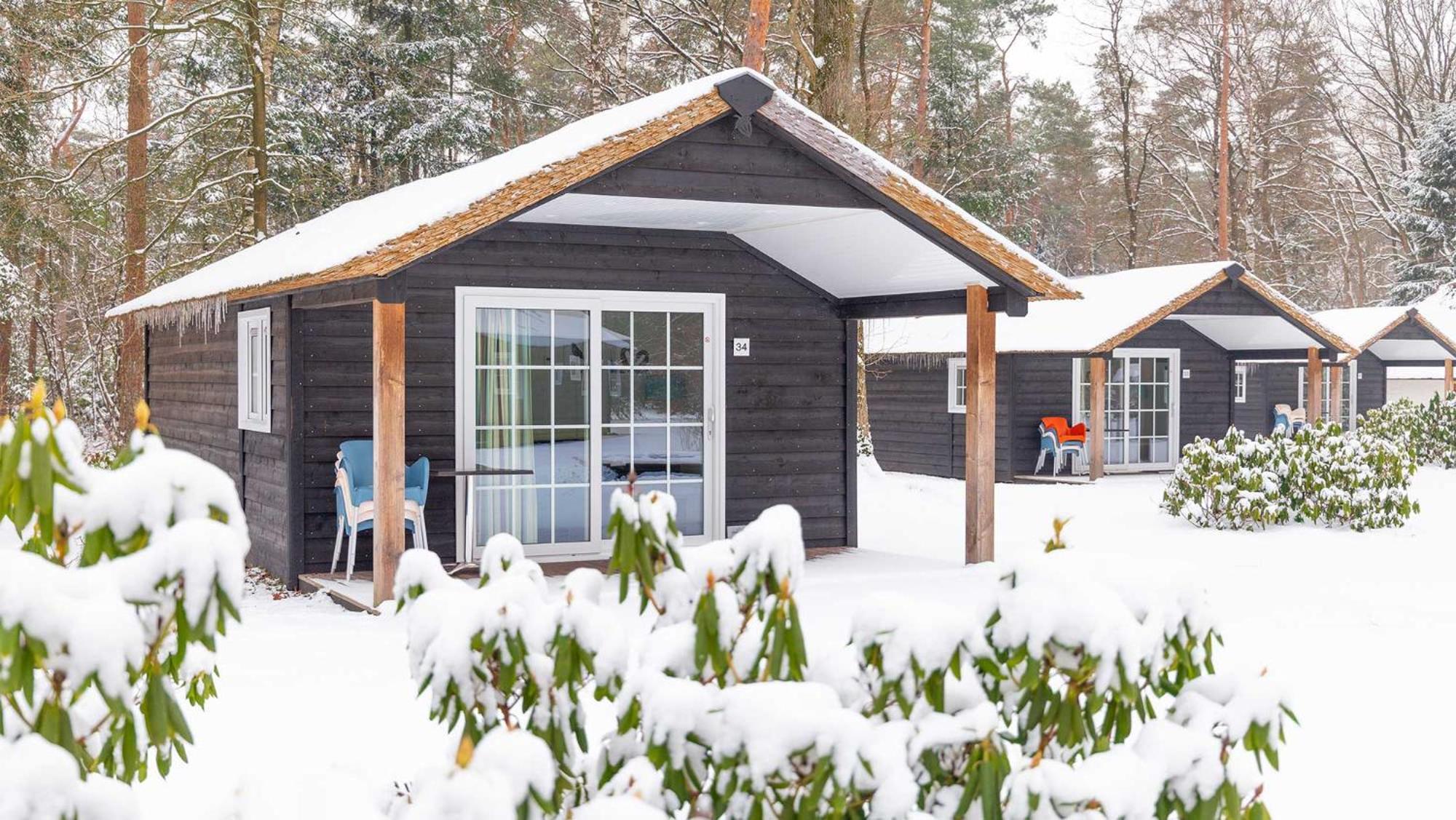 Village de vacances Molecaten Park De Leemkule 4*