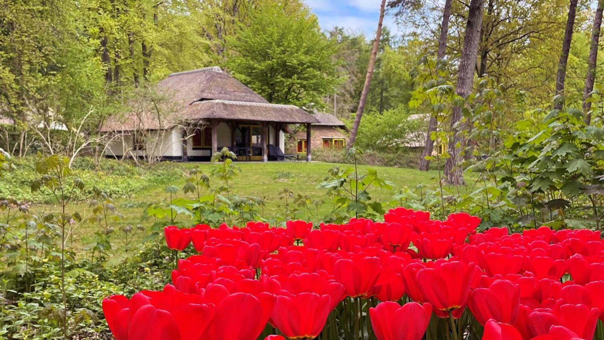 Molecaten Park De Leemkule 4* Hattem