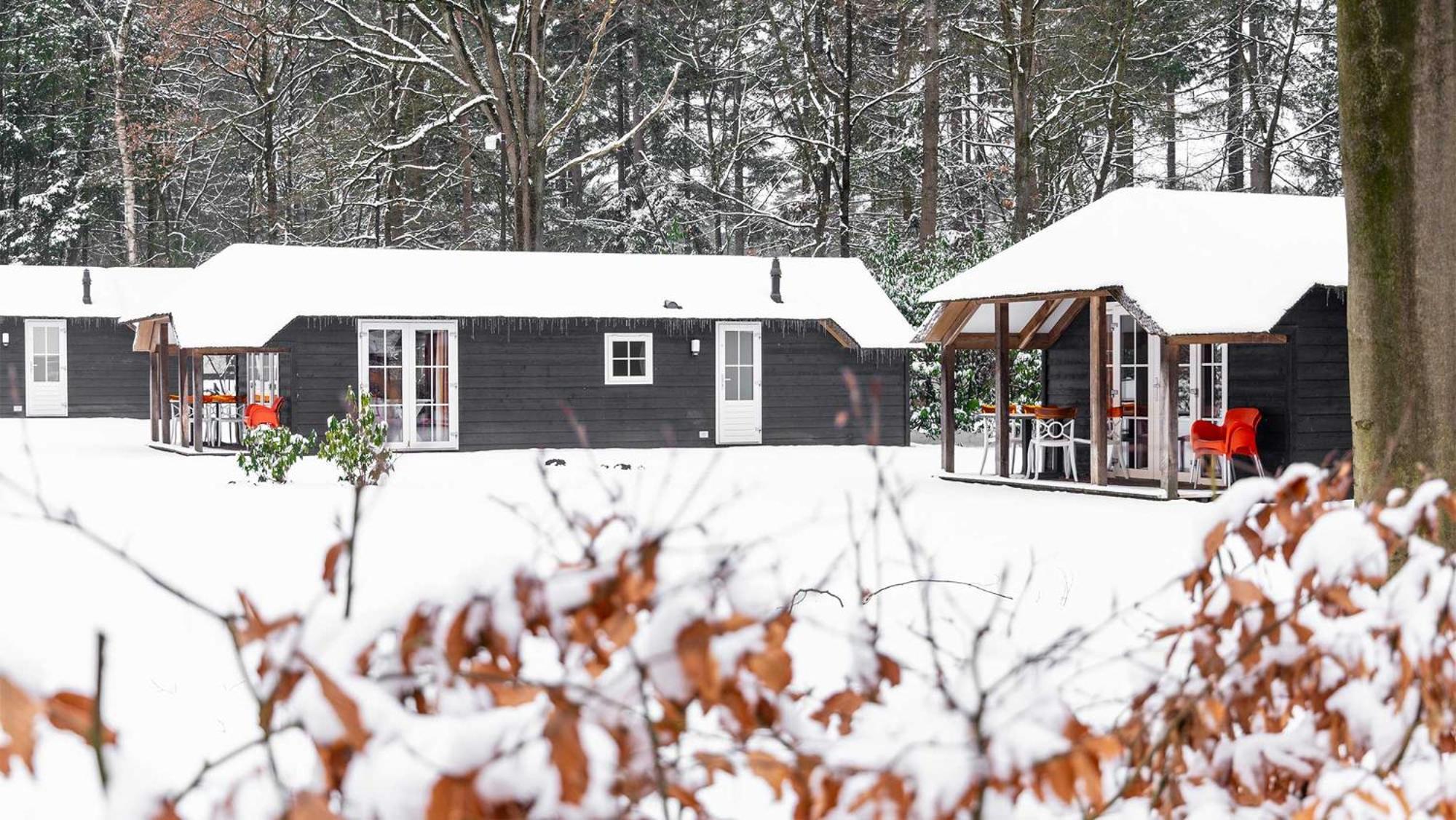Village de vacances Molecaten Park De Leemkule 4*