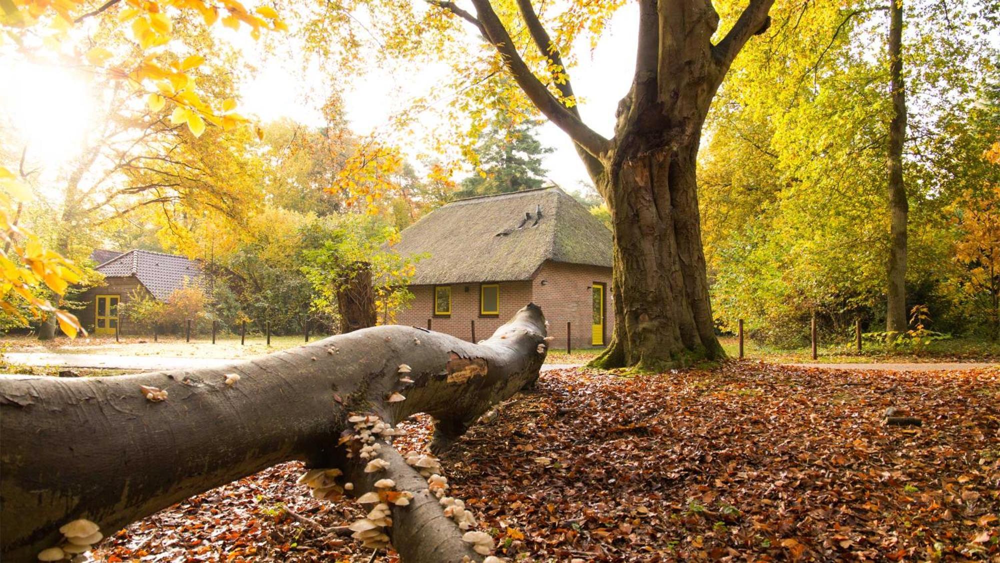 Ferienpark Molecaten Park De Leemkule 4*