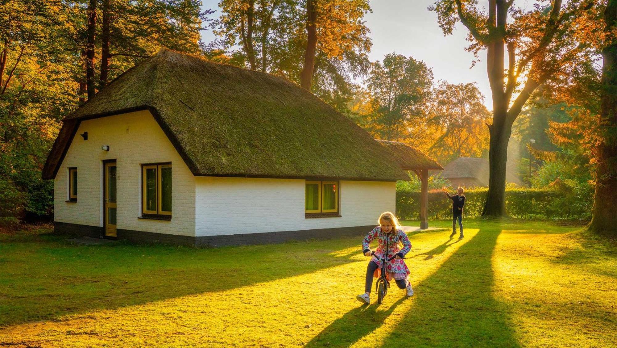 Molecaten Park De Leemkule 4*