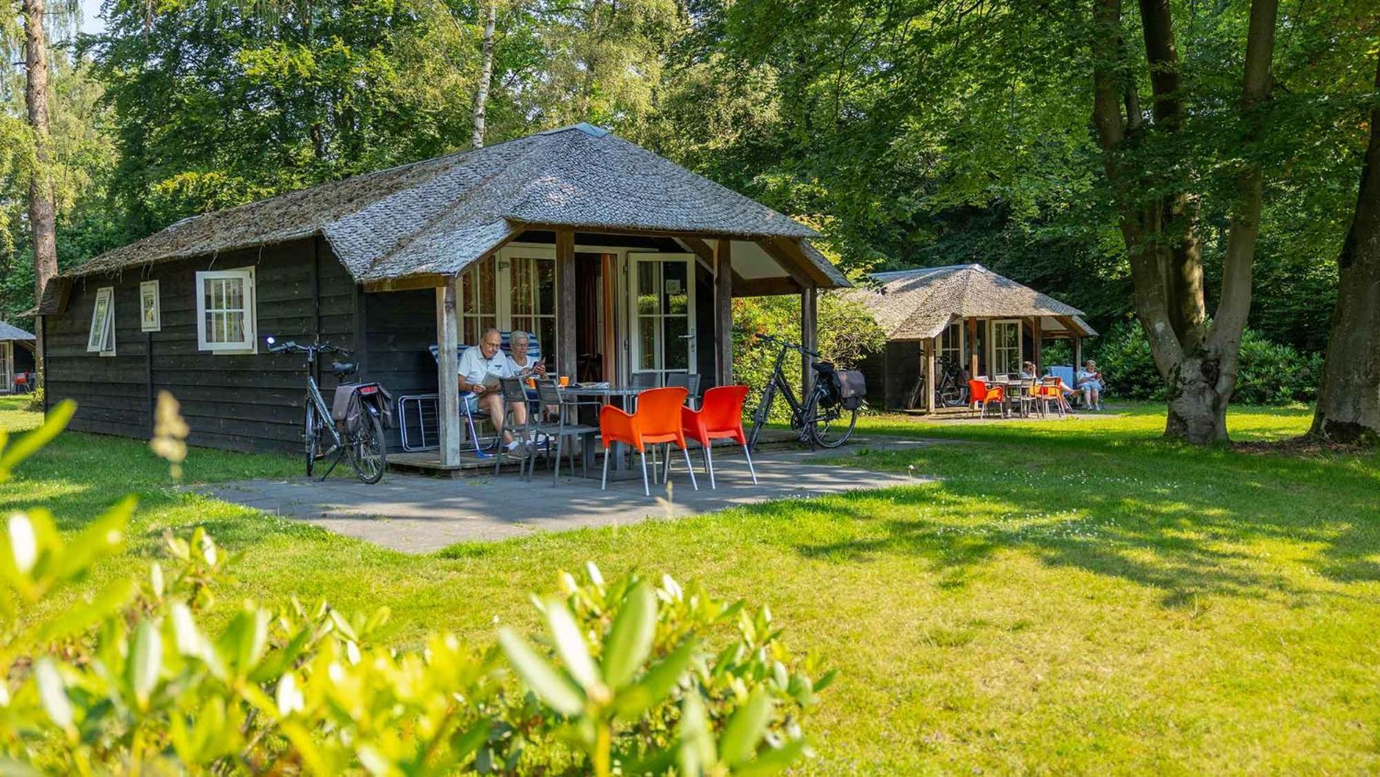 Village de vacances Molecaten Park De Leemkule Hattem