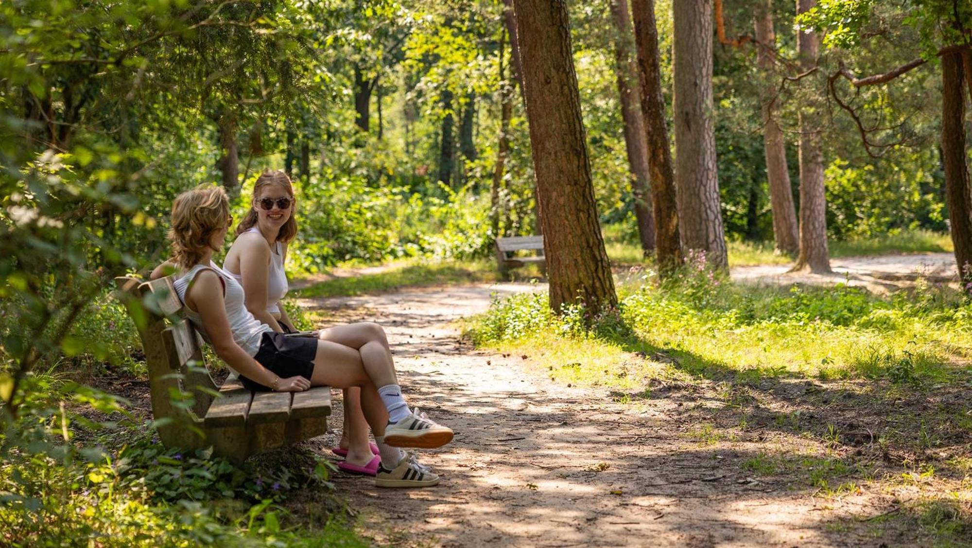Molecaten Park De Leemkule 4* Hattem