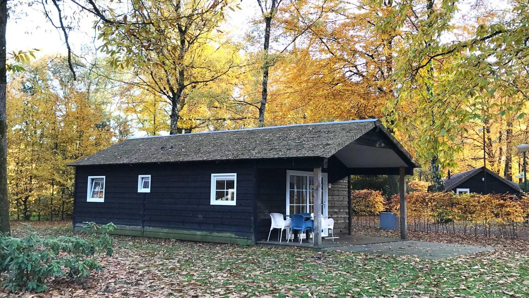 Village de vacances Molecaten Park De Leemkule 4*