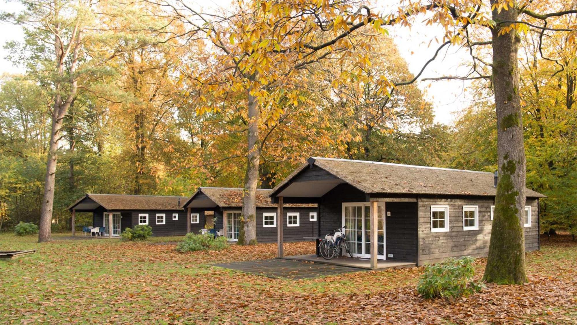 Molecaten Park De Leemkule Hattem
