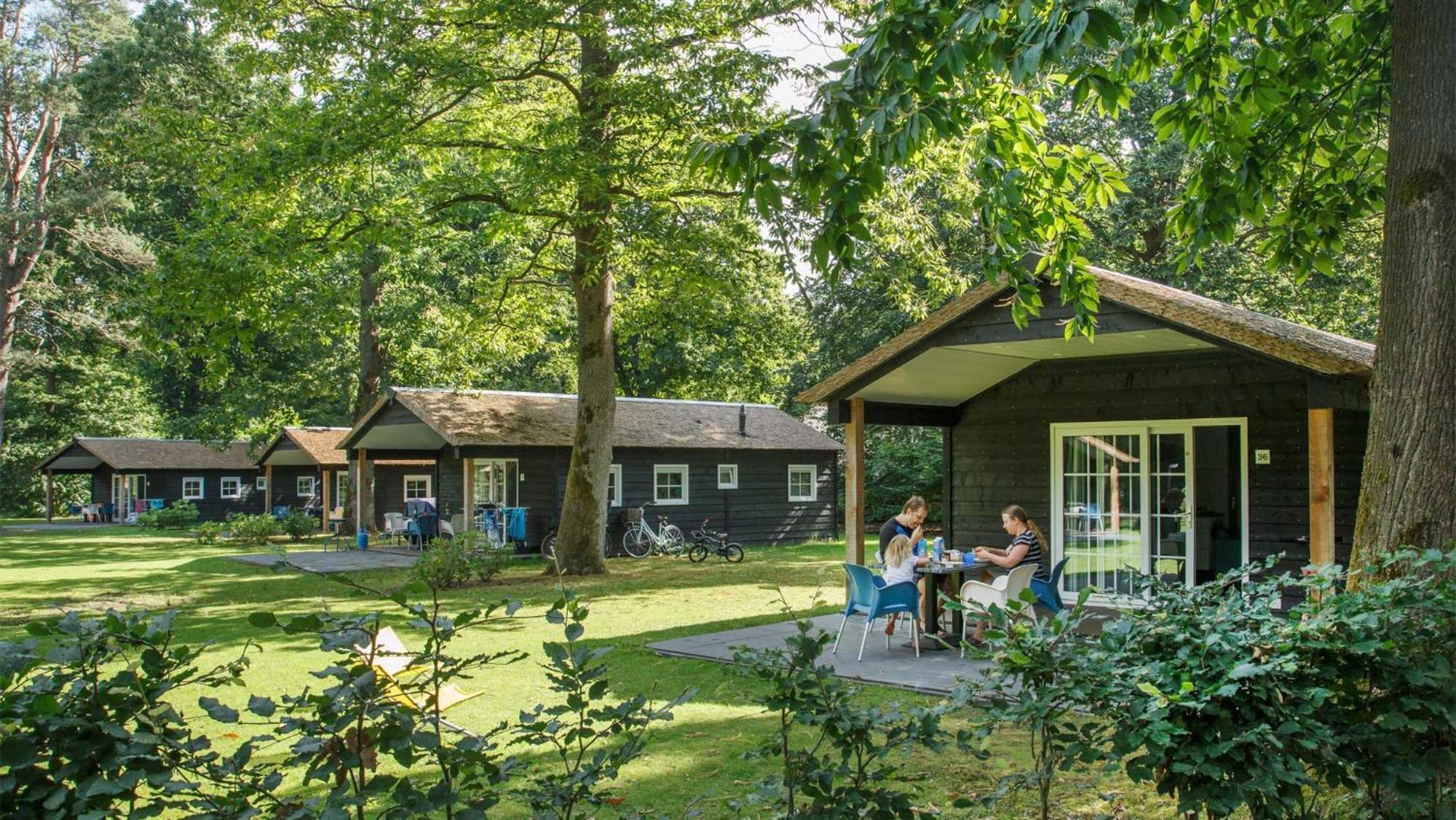 Village de vacances Molecaten Park De Leemkule 4*