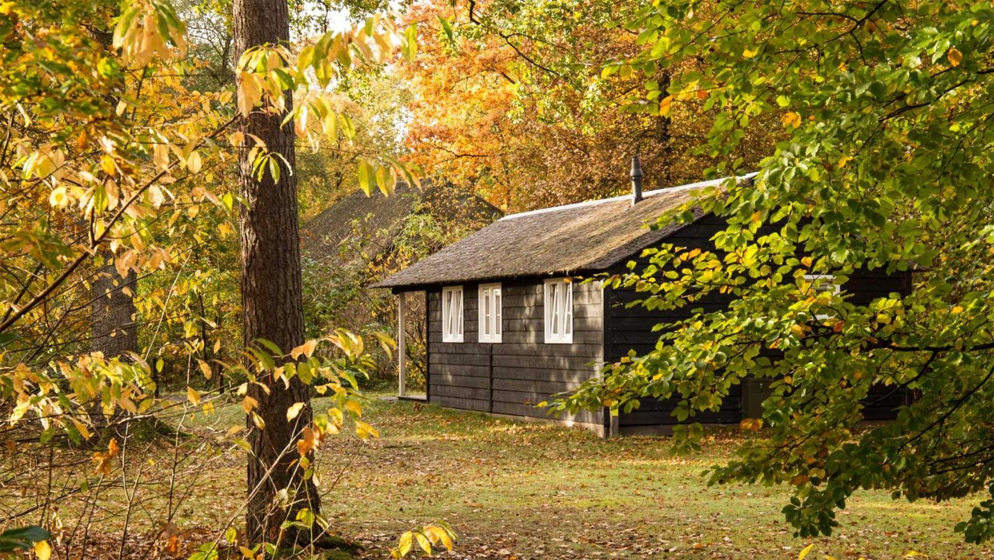 Ferienpark Molecaten Park De Leemkule Hattem