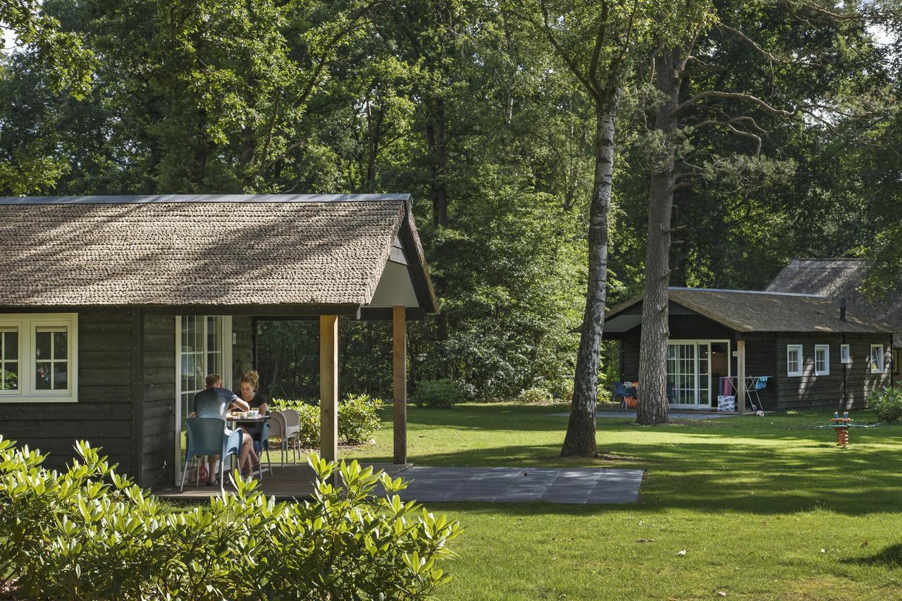 Molecaten Park De Leemkule Hattem